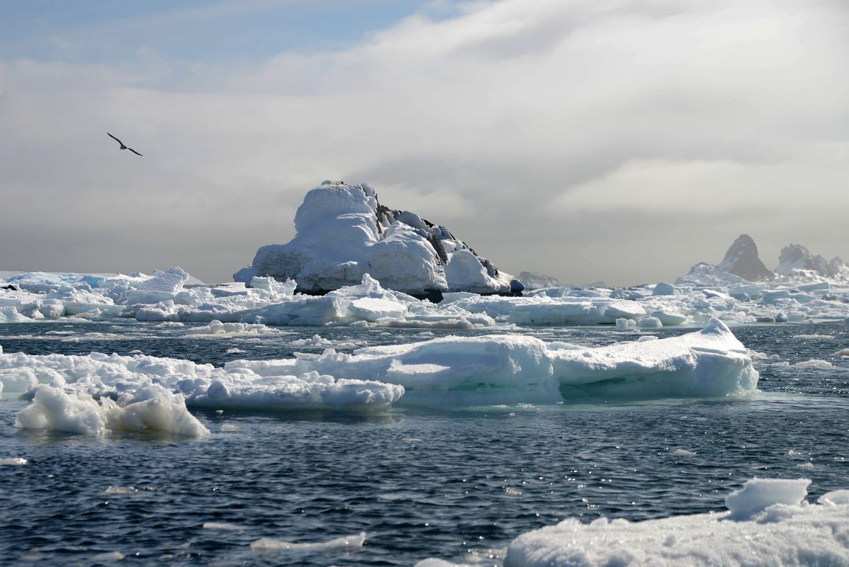 19F Icebergs Float In The Water From The Zodiac Near Aitcho Barrientos Island In South Shetland Islands On Quark Expeditions Antarctica Cruise